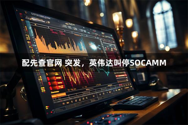 配先查官网 突发，英伟达叫停SOCAMM