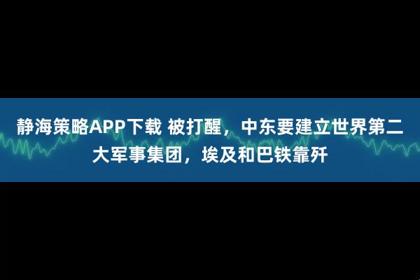 静海策略APP下载 被打醒，中东要建立世界第二大军事集团，埃及和巴铁靠歼