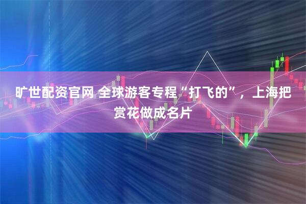旷世配资官网 全球游客专程“打飞的”，上海把赏花做成名片