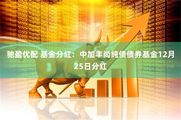 驰盈优配 基金分红：中加丰尚纯债债券基金12月25日分红