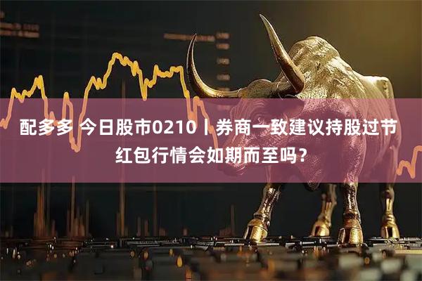 配多多 今日股市0210丨券商一致建议持股过节 红包行情会如期而至吗？